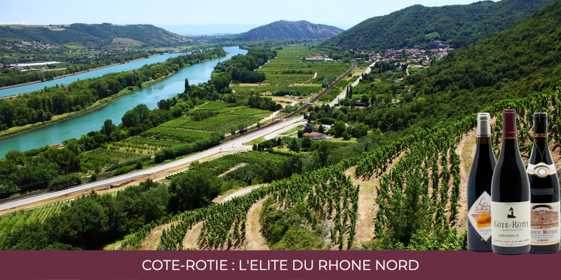 Côte Rôtie : L'élite du Rhône Nord sur le magnifique millésime 2019